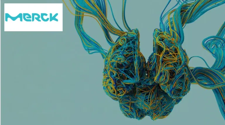 Transformer les transitions de la vie en moments de soutien et d’autonomisation